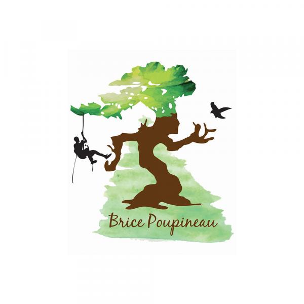 Logo Brice Poupineau